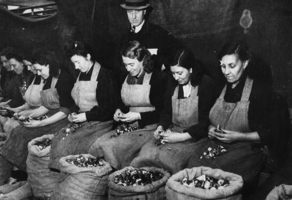 Het schoonmaken van bloembollen in een centrale keuken, 1944 - 1945.