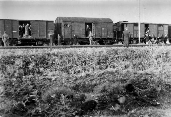 Oponthoud op het goederen emplacement in Haarlem, 10 november 1944. 