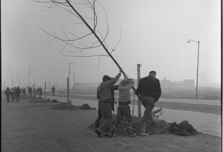 Zwart-witfoto van kinderen die onder begeleiding een boom planten